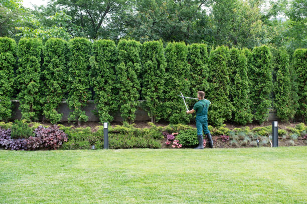 Best Sod Installation  in Walkersville, MD