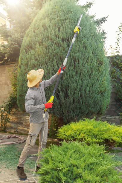 Best Lawn Maintenance Plans  in Walkersville, MD