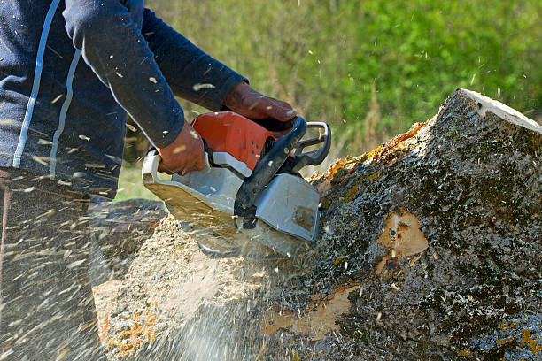 Best Lawn Mowing  in Walkersville, MD